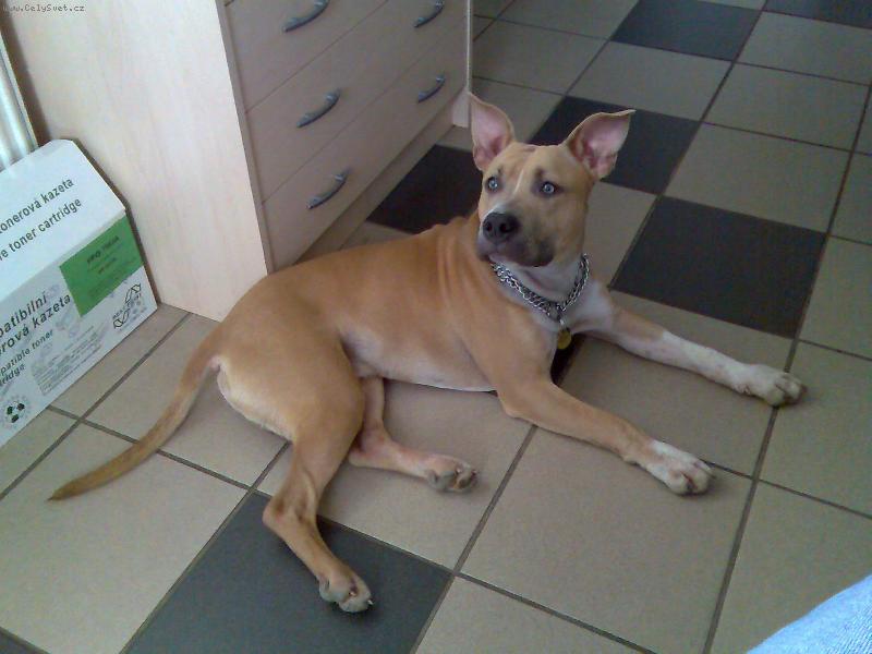 Foto: arny